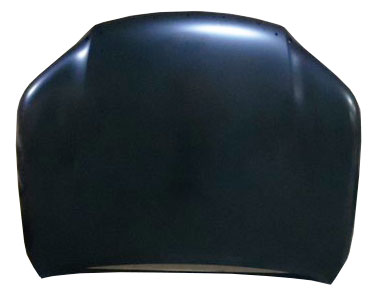 HOOD W/MOULDING HOLE